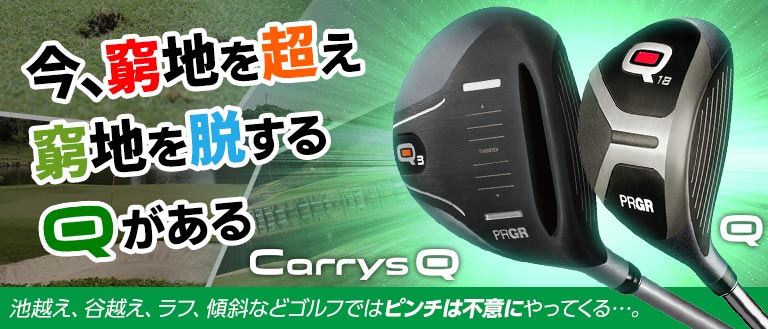 プロギア PRGR Q28 Q33 2本セット ヘッドカバーあり